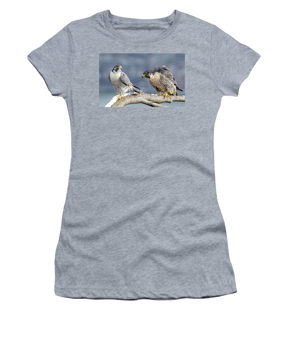 Birds Women's T-Shirt featuring the photograph Falcons in Winter by Kevin Suttlehan