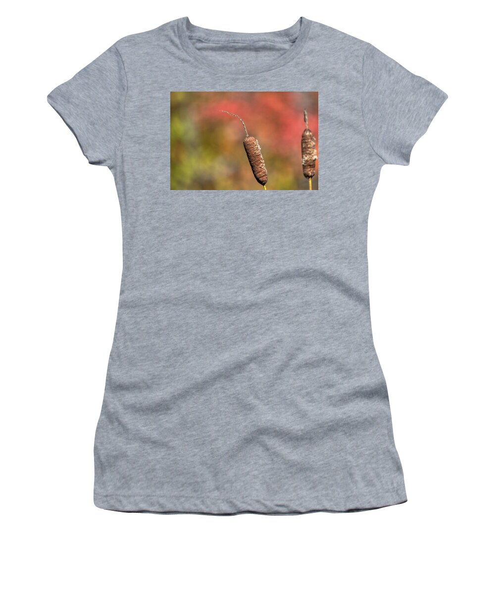 Nature Women's T-Shirt featuring the photograph Fall cat tail scenery by Paul Freidlund