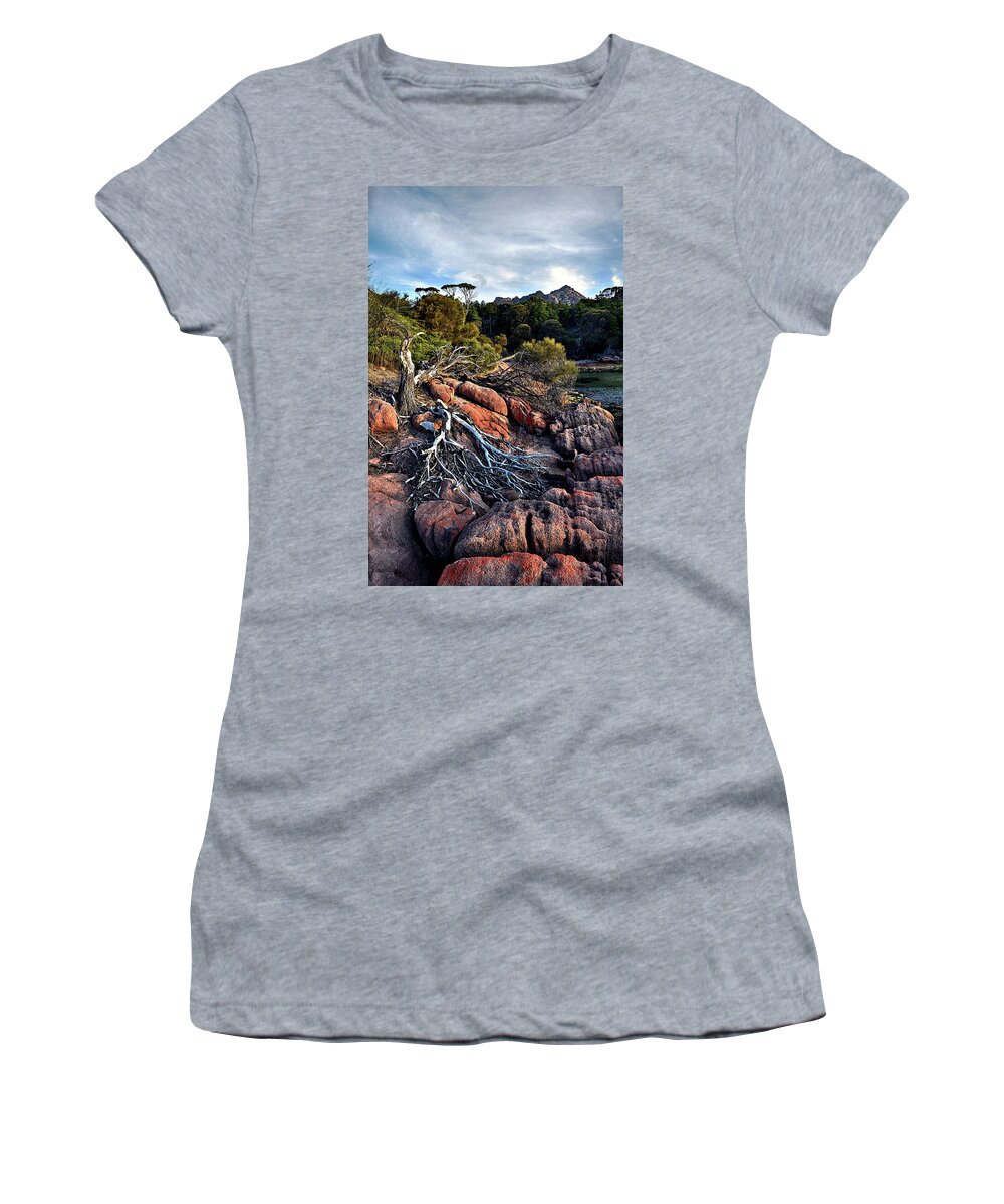 Fallen Women's T-Shirt featuring the photograph Fallen tree pano by Andrei SKY