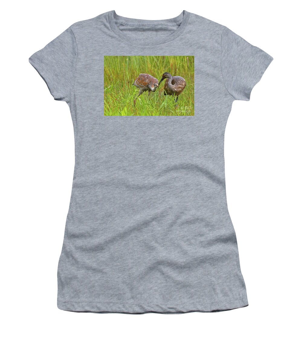 Sandhill Crane Women's T-Shirt featuring the photograph Feeding Your Colt by Natural Focal Point Photography