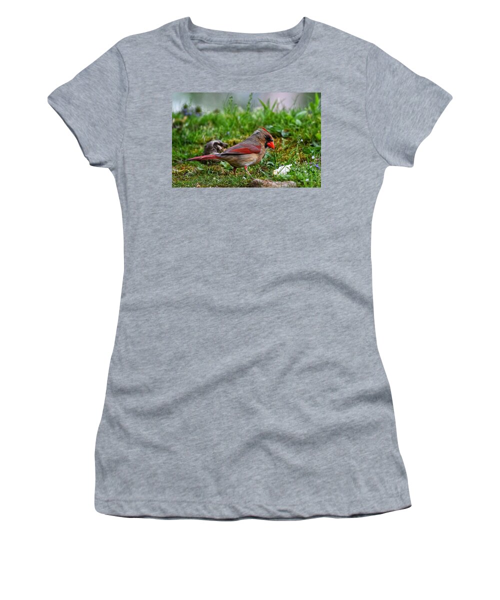 Photo Women's T-Shirt featuring the photograph Female Cardinal in Grass by Evan Foster