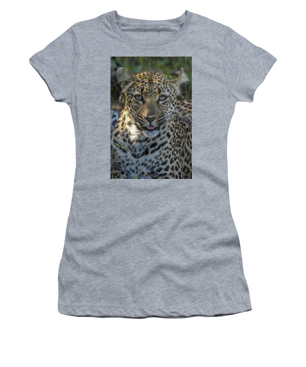 Leopard Women's T-Shirt featuring the photograph Female Leopard Portrait by MaryJane Sesto