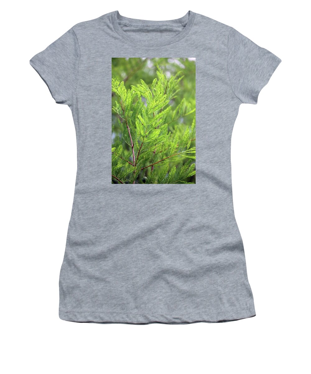 Green Women's T-Shirt featuring the photograph Fern 9341 by Carolyn Stagger Cokley