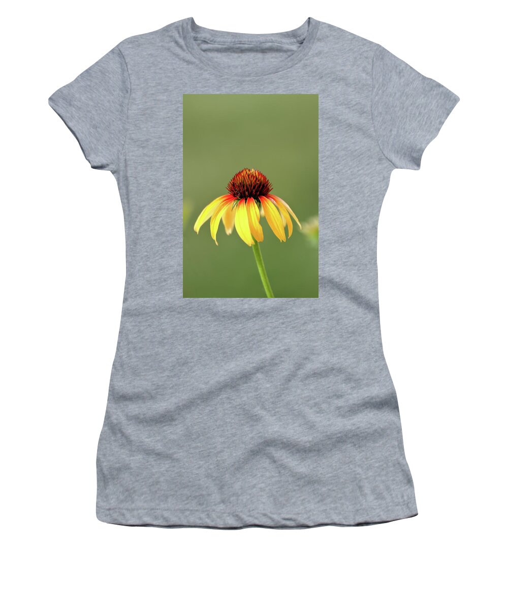 Coneflower Women's T-Shirt featuring the photograph Fiesta Coneflower by Lens Art Photography By Larry Trager