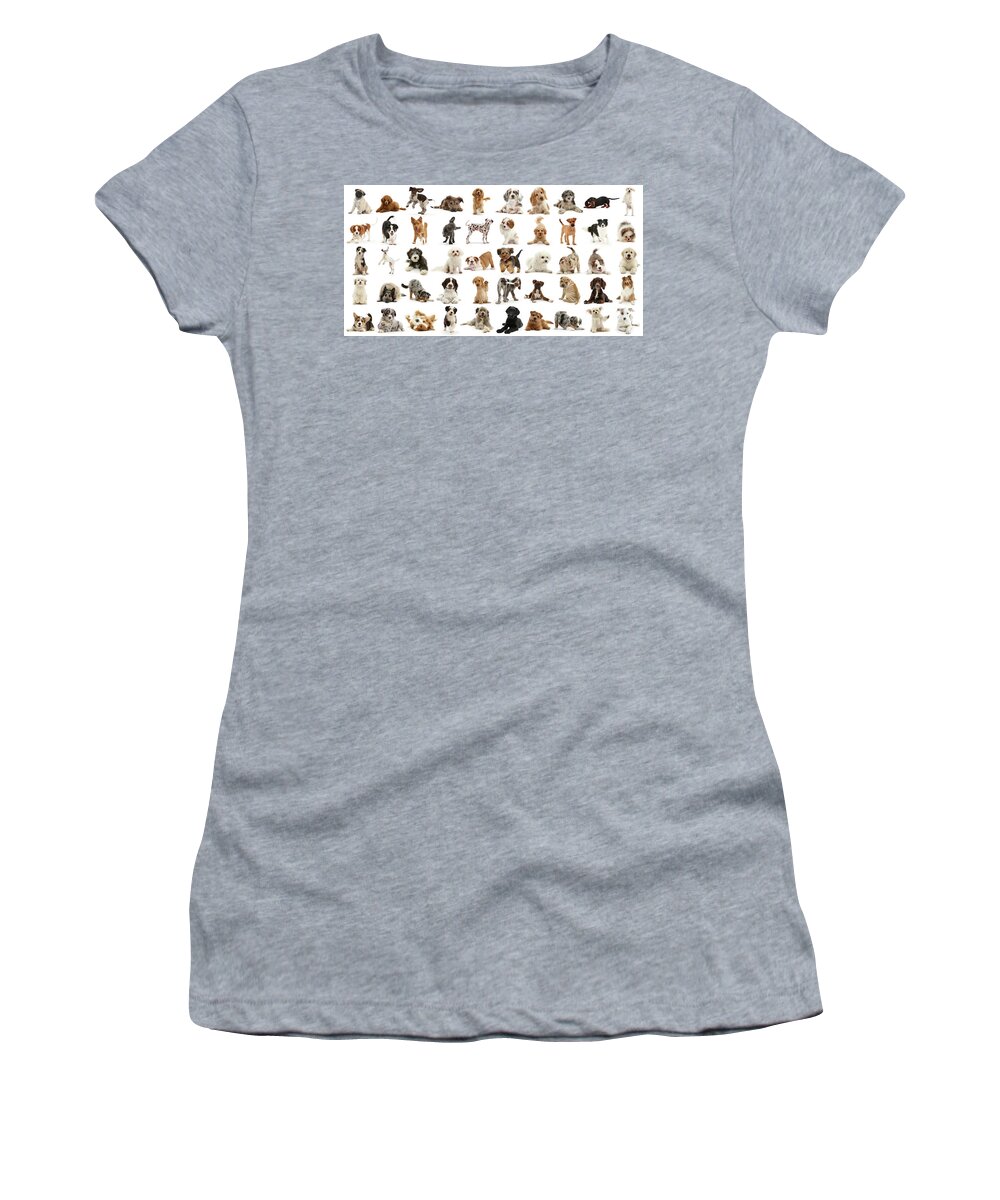 Fifty Women's T-Shirt featuring the photograph Fifty Shades of Stray by Warren Photographic