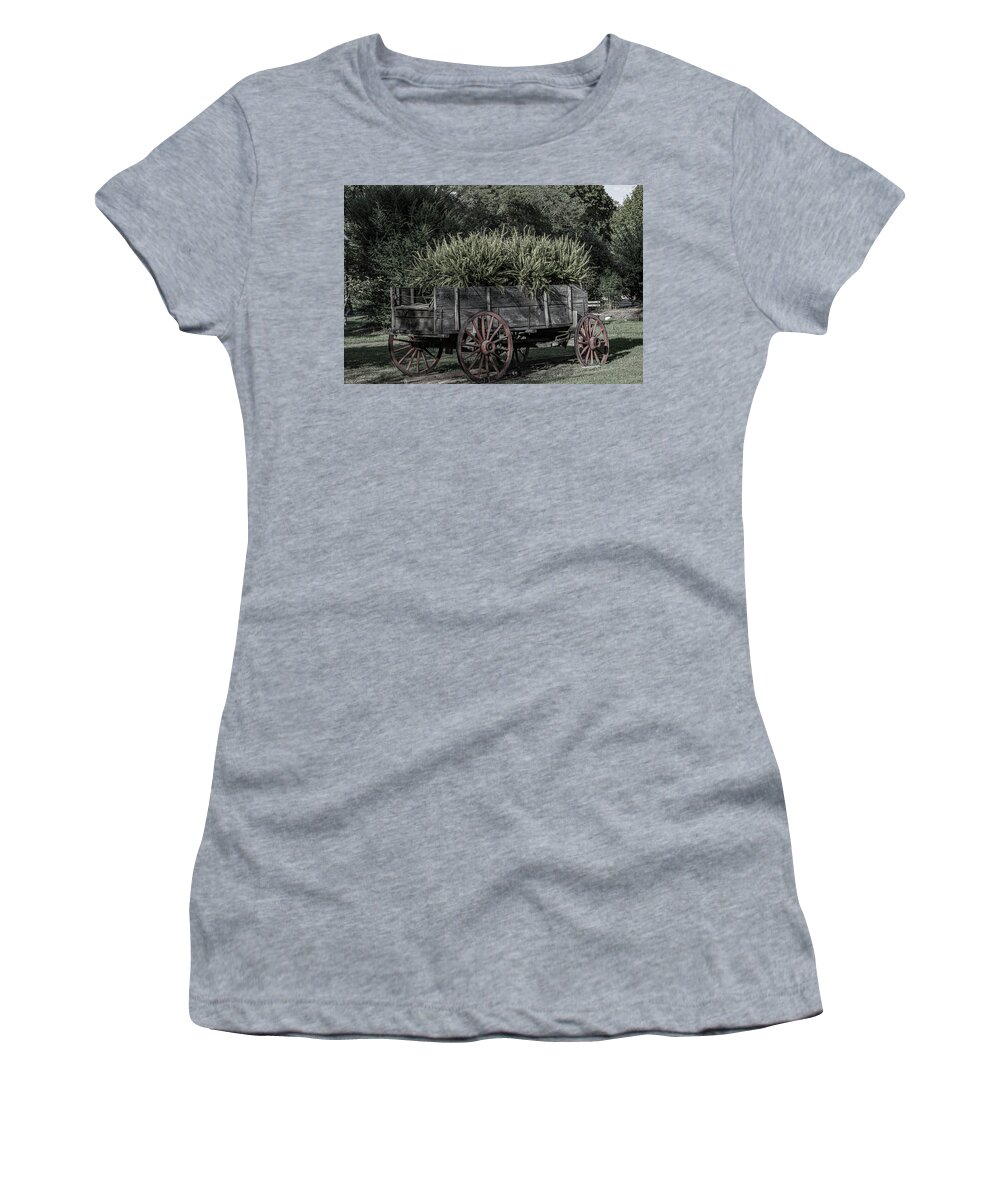 Ferns Women's T-Shirt featuring the digital art Filled With Glory 2 by Linda Segerson