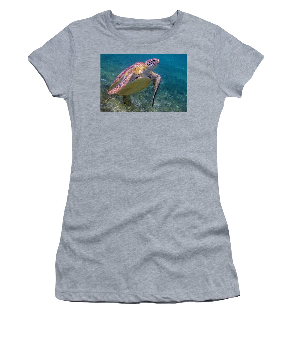 Animals Women's T-Shirt featuring the photograph Fine Art of Surfacing by Lynne Browne