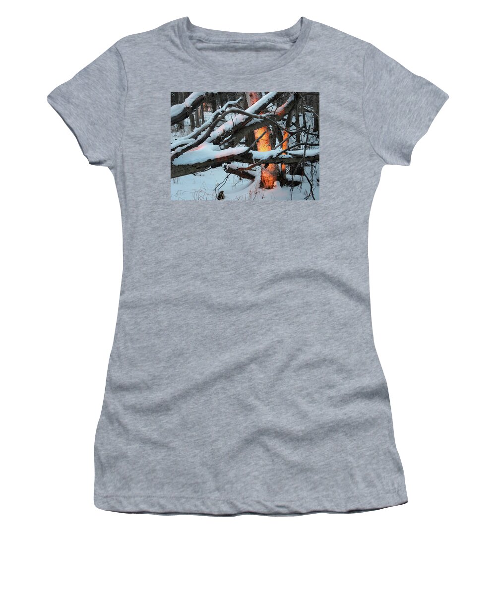Alaska Women's T-Shirt featuring the photograph Fire and Ice by Brian Jay