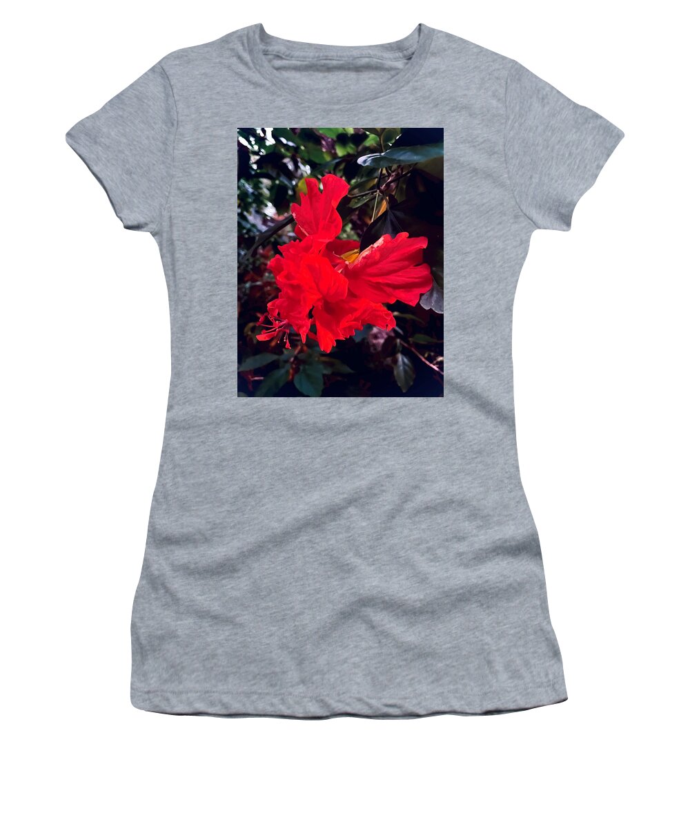 Hibiscus Women's T-Shirt featuring the photograph Fly Away 2022 by John Anderson