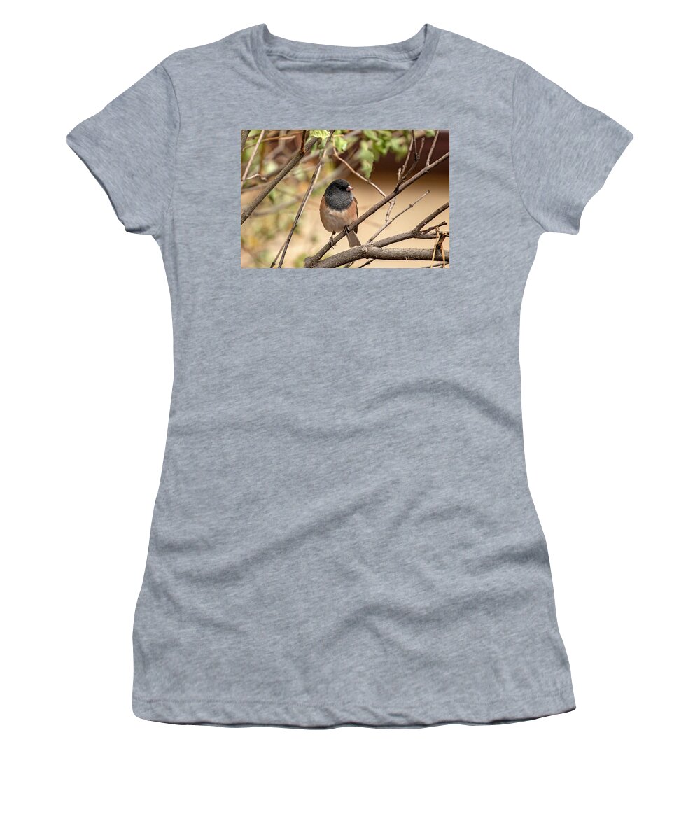 Bird Women's T-Shirt featuring the photograph Flashy Little Sparrow by Laura Putman