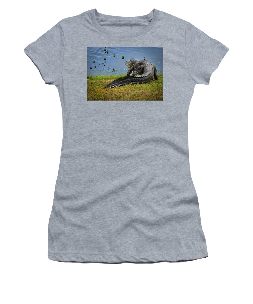 Aligator Women's T-Shirt featuring the photograph Florida Gator by Larry Marshall