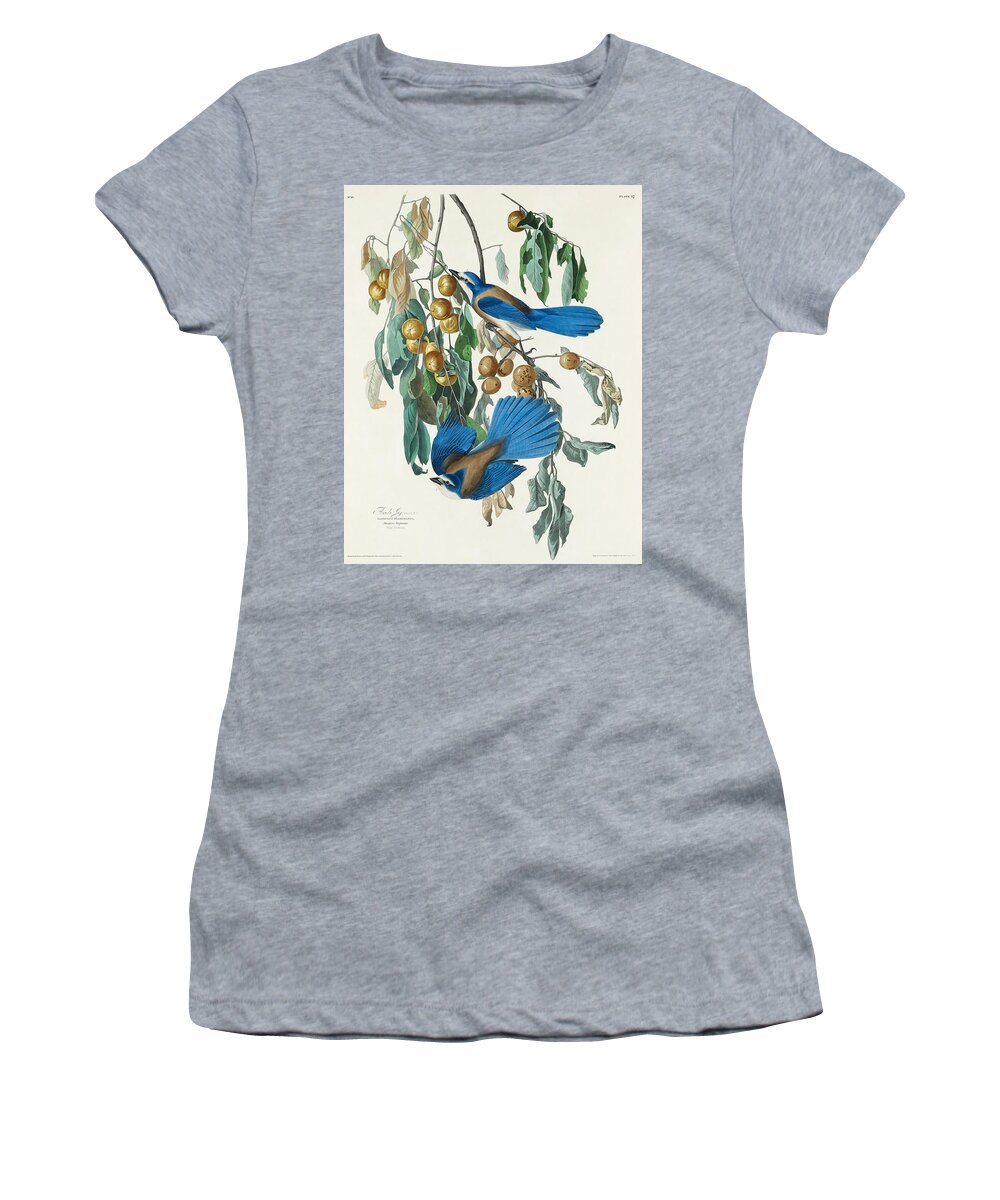 Floriday Jay Women's T-Shirt featuring the mixed media Florida Jay. John James Audubon by World Art Collective