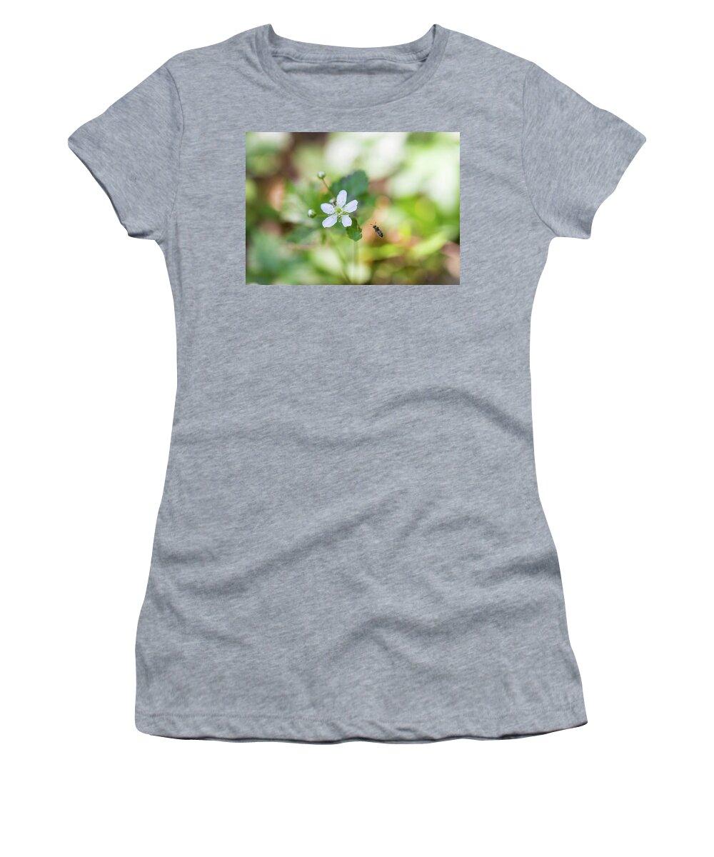Flower Women's T-Shirt featuring the photograph Flower and Bee by Amelia Pearn