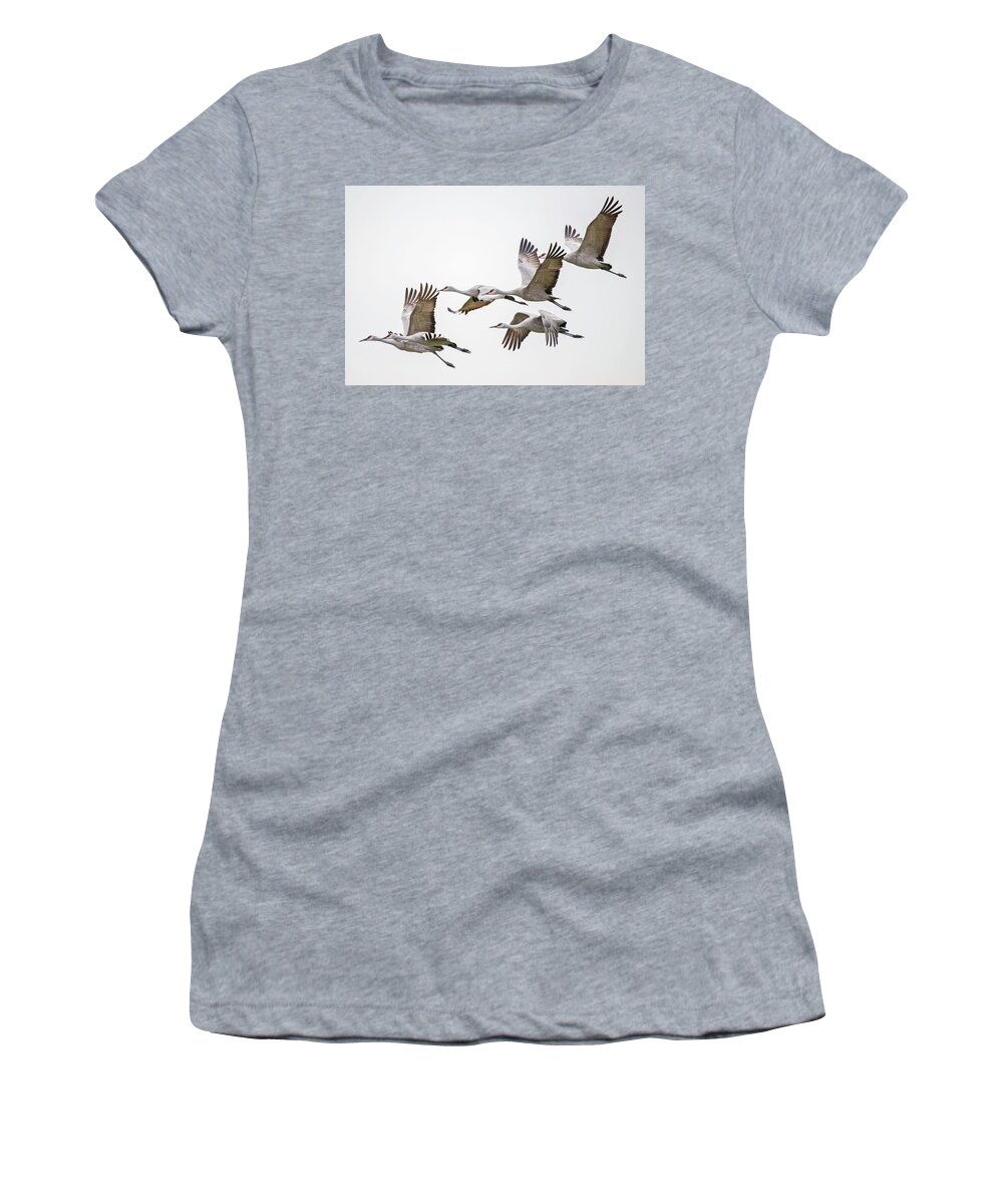  Women's T-Shirt featuring the photograph Flying Sandhill Cranes #5 by Carla Brennan