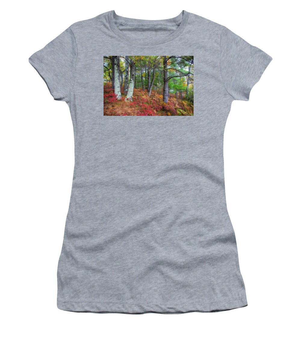 Michigan Women's T-Shirt featuring the photograph Forest Floor in Autumn by Robert Carter