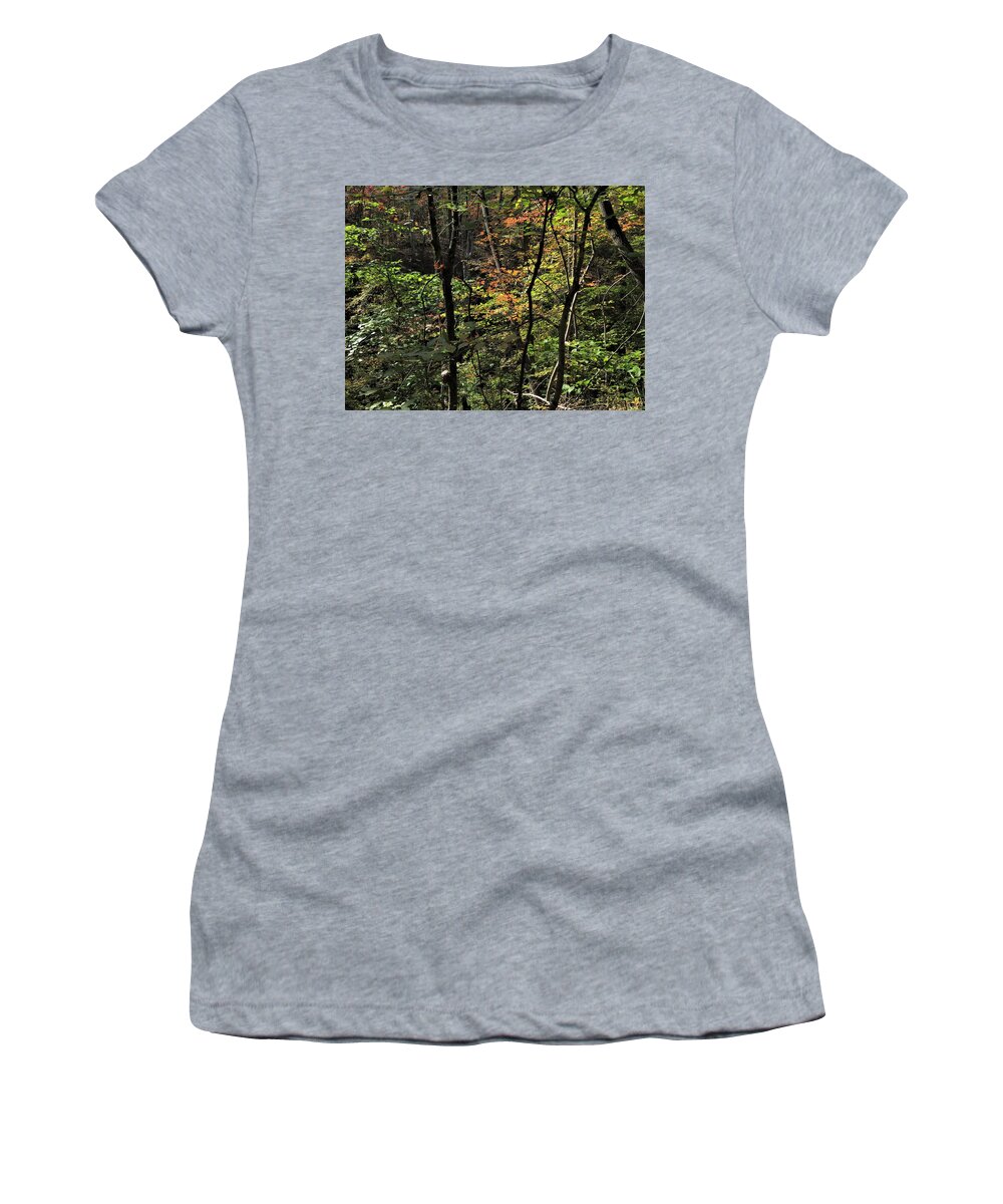 Forest Women's T-Shirt featuring the photograph Forest Tints by Ed Williams