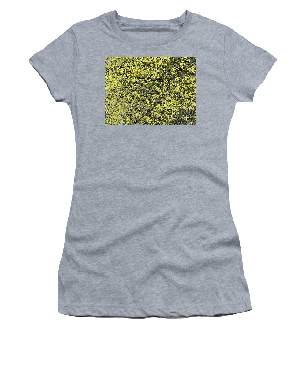 Spring Women's T-Shirt featuring the photograph Forsythia - Waiting On Spring by Leslie Montgomery