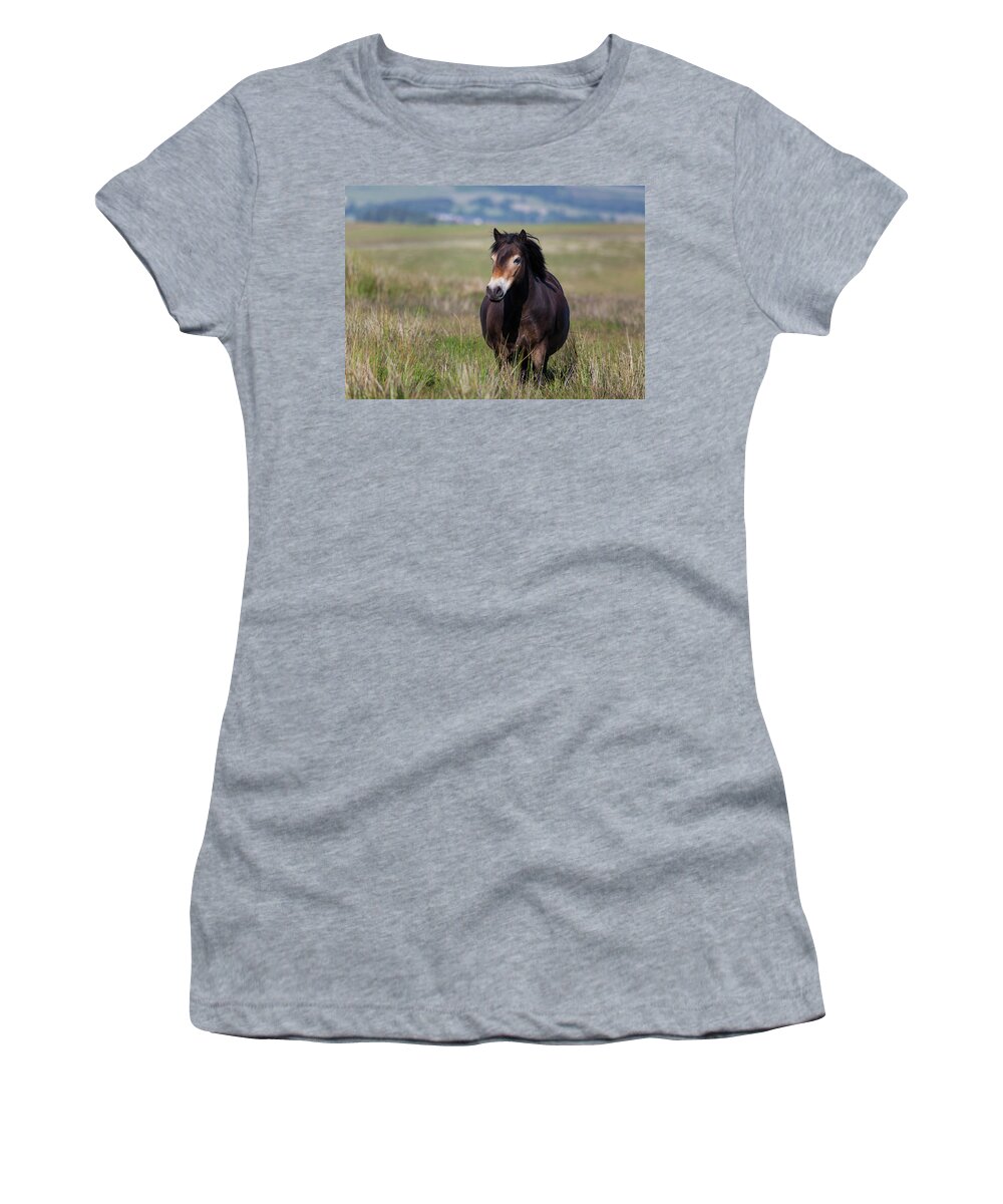 Pony Women's T-Shirt featuring the photograph Free Roaming Pony by Anita Nicholson