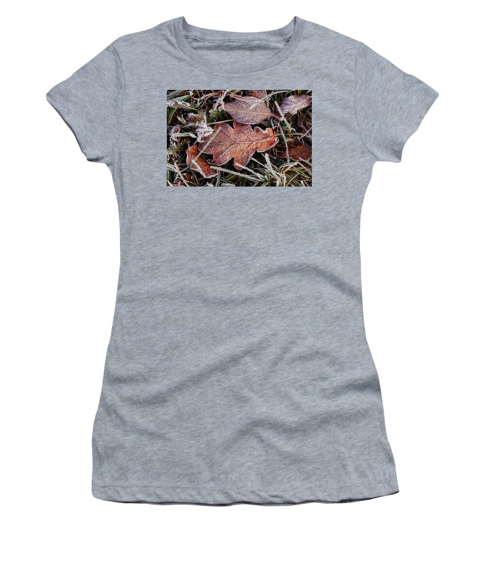 Multicolored Women's T-Shirt featuring the photograph Frozen colorful marple leaf lies in field, wild grass, at winter times. December is coming. Grandpa Frost hits with full force on landscape. Piece of magic in real time by Vaclav Sonnek