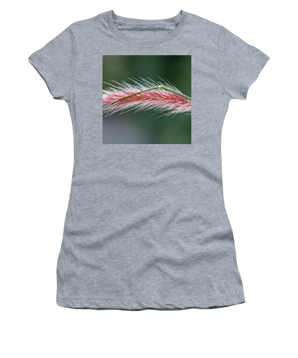 Grass Women's T-Shirt featuring the photograph Fuzzy Grass by David Beechum