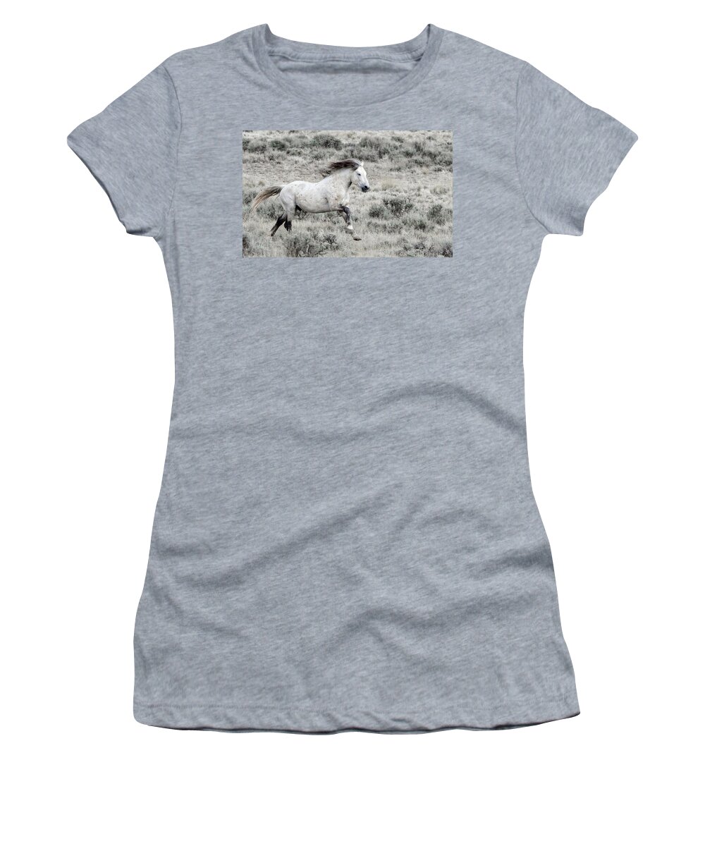 Horse Women's T-Shirt featuring the photograph Galloping by Ronnie And Frances Howard