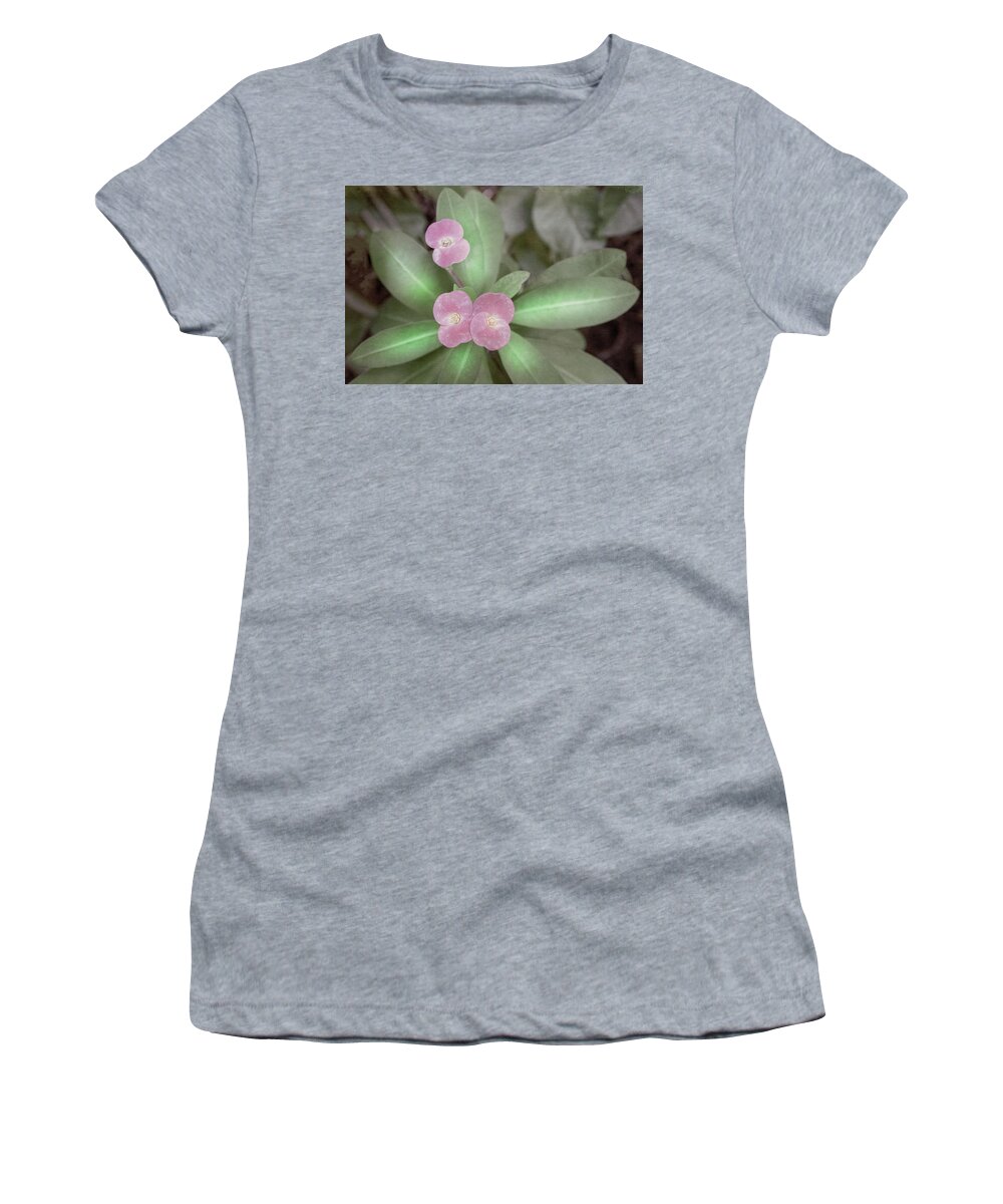 Garden Women's T-Shirt featuring the photograph Garden Crown of Thorns by Debra and Dave Vanderlaan