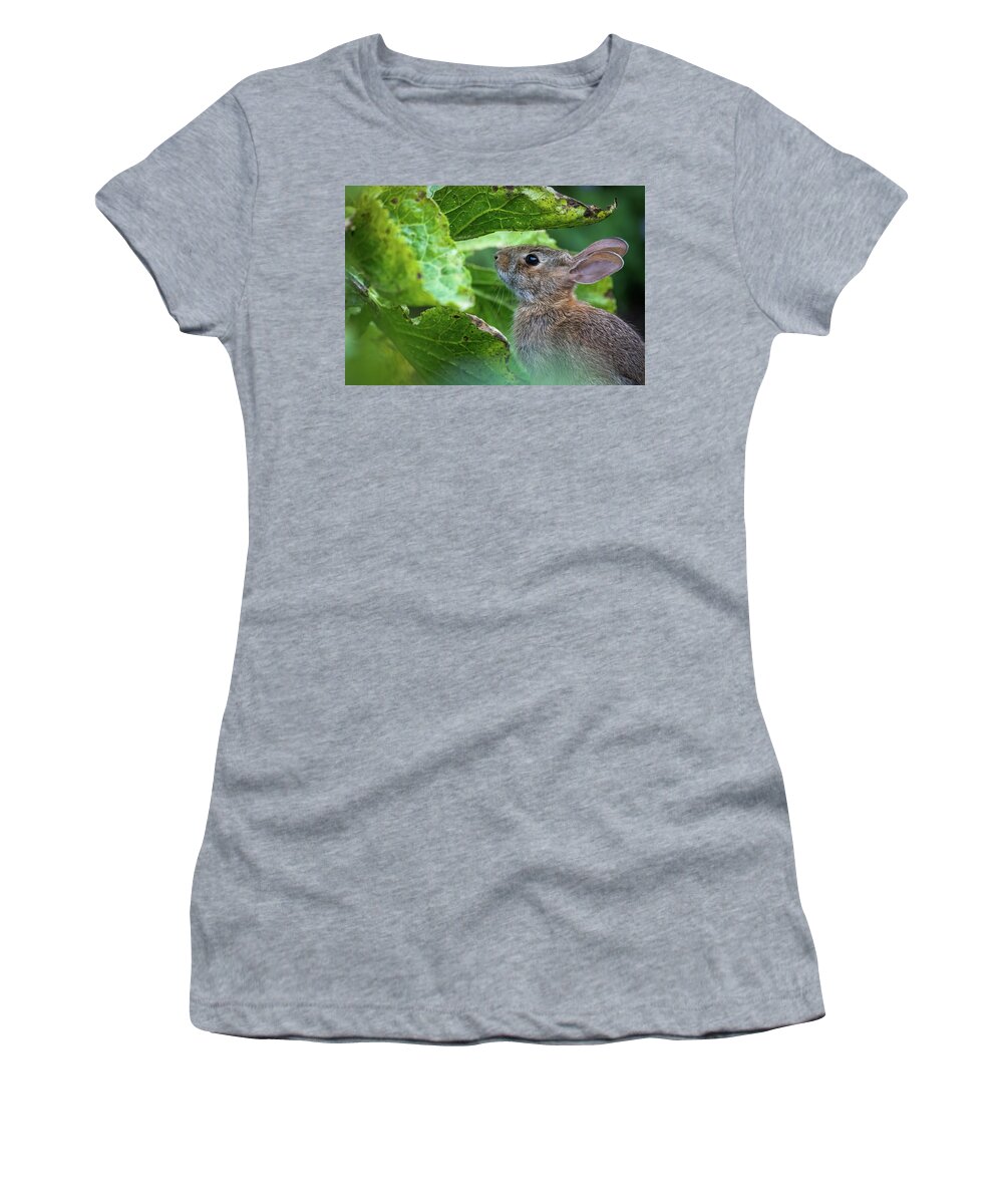 Wildlife Women's T-Shirt featuring the photograph Garden Rabbit by Lara Morrison