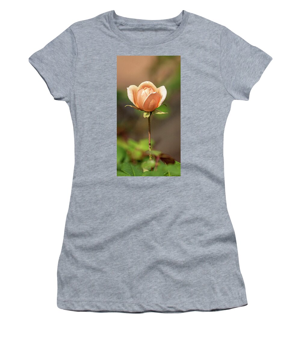 Rose Women's T-Shirt featuring the photograph Garden Rose by Jerry Connally