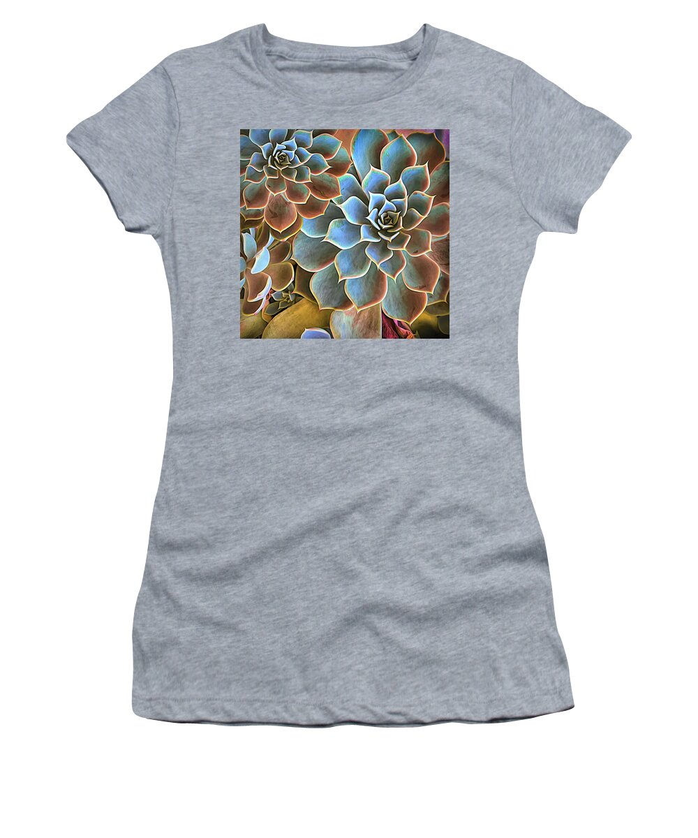 Florida Women's T-Shirt featuring the photograph Garden Succulent Botanicals II Painting by Debra and Dave Vanderlaan