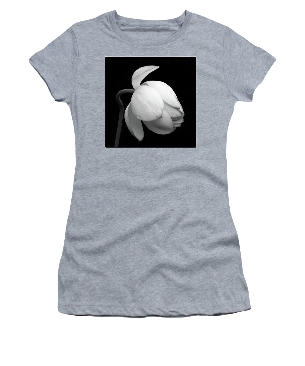 Lotus Women's T-Shirt featuring the photograph Gentle Beauty by Elvira Peretsman