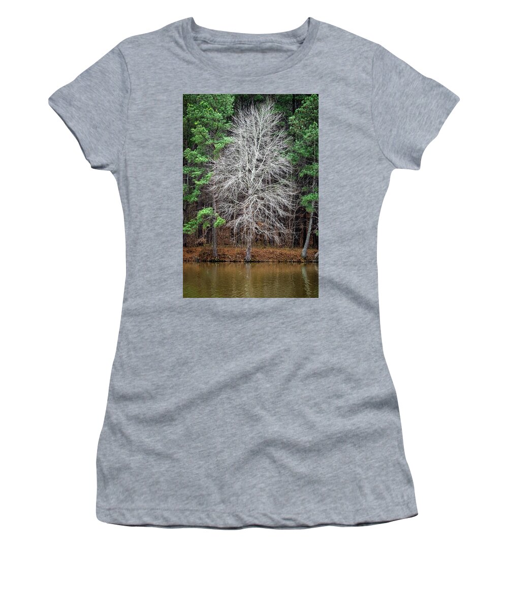 Tree Women's T-Shirt featuring the photograph Ghostly Tree by Rick Nelson