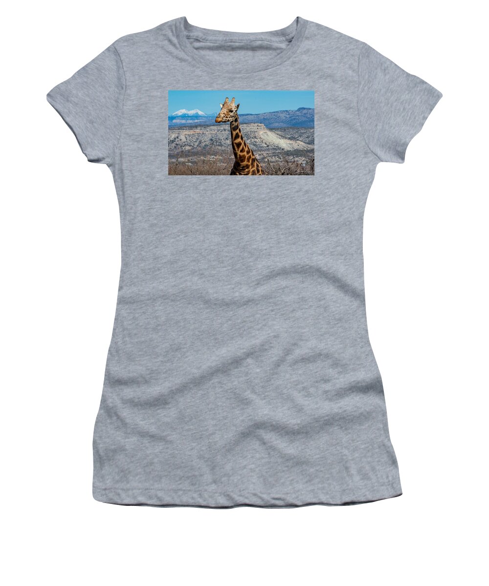 Giraffe At Out Of Africa Fstop101 Women's T-Shirt featuring the photograph Giraffe by Geno Lee
