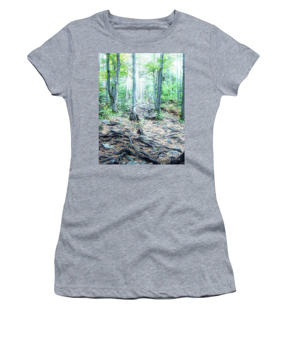 Sugarloaf Mountain Women's T-Shirt featuring the photograph Glowing Forest Trail by Phil Perkins