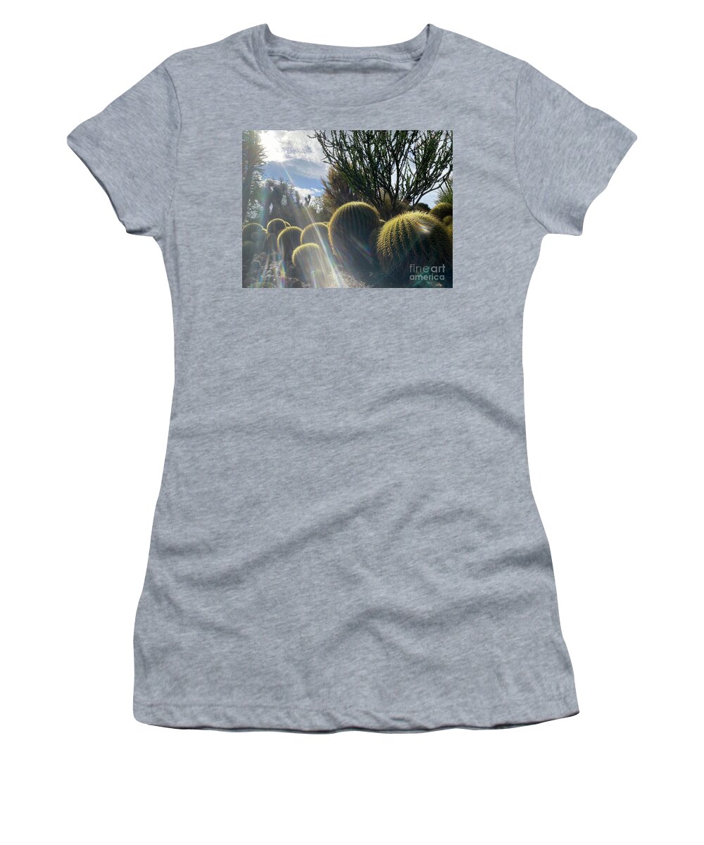 Cactus Women's T-Shirt featuring the photograph Golden Barrel Cactus in Sun Beams by Katherine Erickson