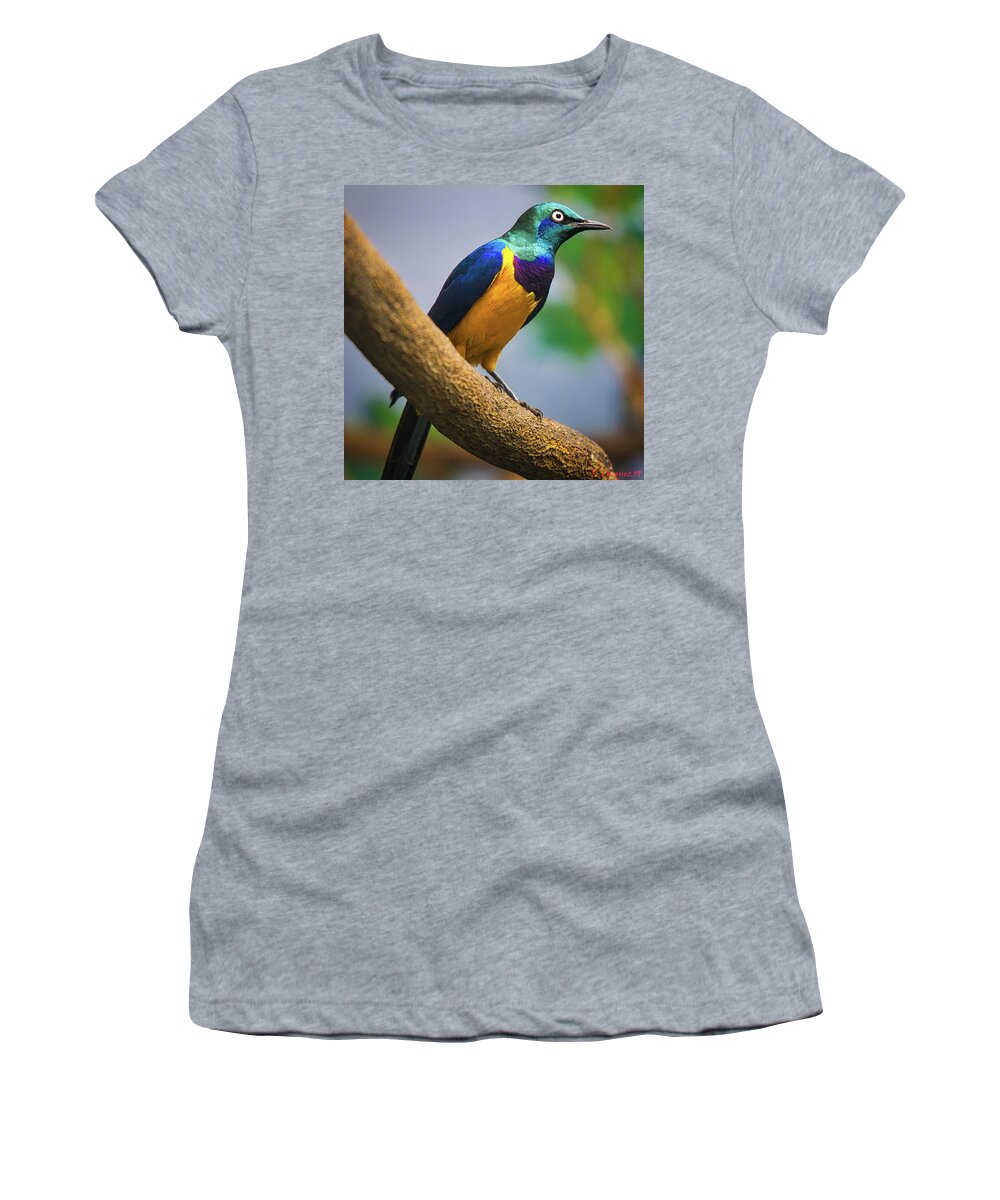 Green Women's T-Shirt featuring the photograph Golden Breasted Starling by Rene Vasquez