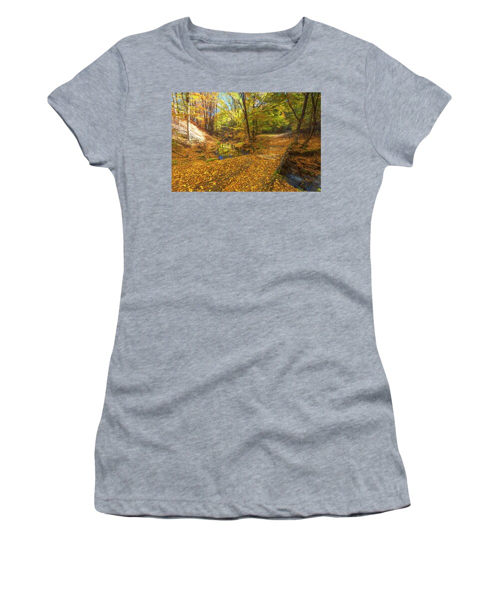 Bulgaria Women's T-Shirt featuring the photograph Golden River by Evgeni Dinev