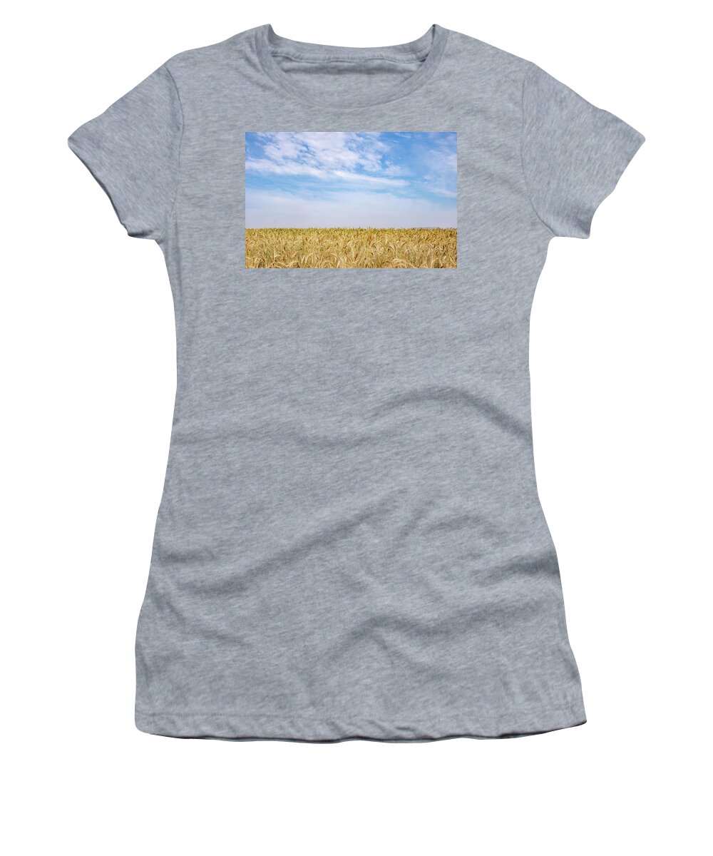 Wheat Field Women's T-Shirt featuring the photograph Golden wheat field ready for harvesting. Rural grainfield farmland against cloud sky by Michalakis Ppalis