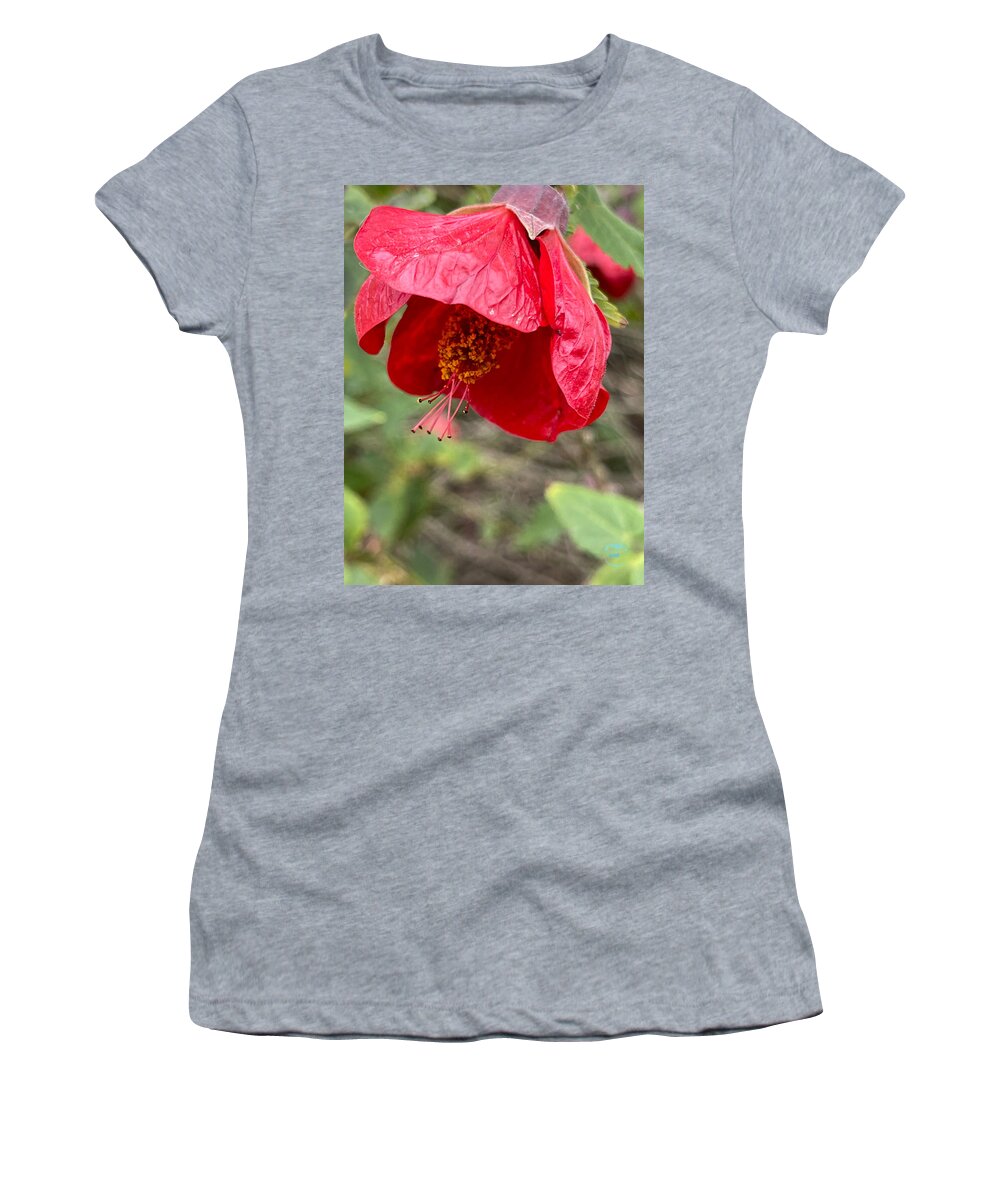 Red Flower Pistils Green Leaves Black Women's T-Shirt featuring the digital art Gorgeous Red Flower by Kathleen Boyles