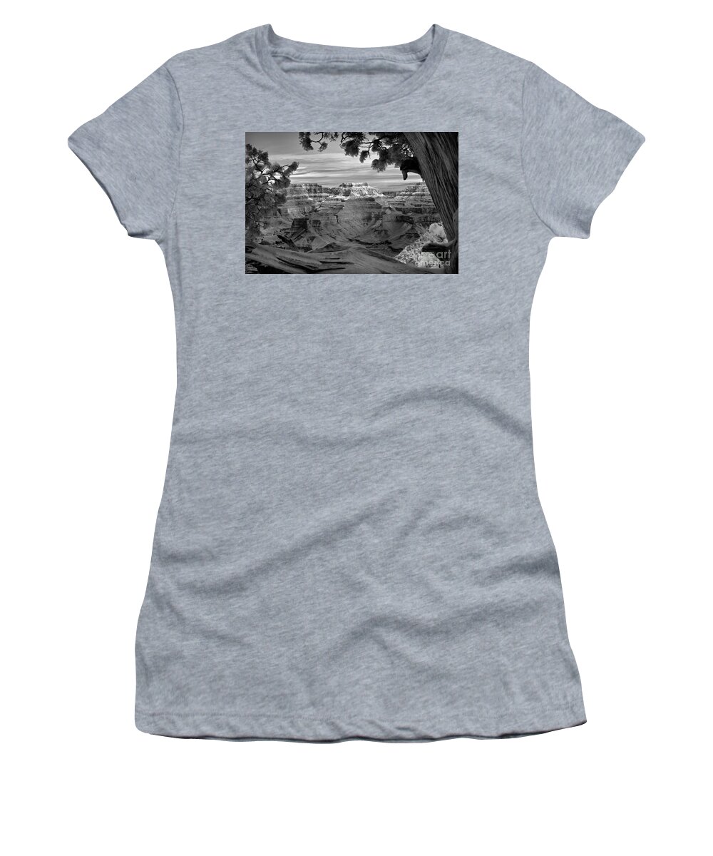 Grand Canyon Women's T-Shirt featuring the photograph Grand Canyon Framed By Tree  by Martin Konopacki