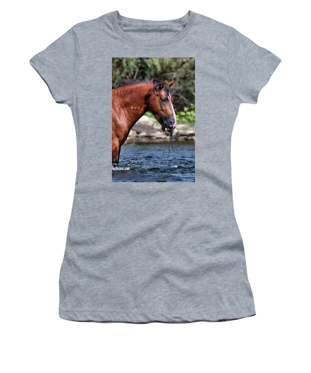 Wild Horses Women's T-Shirt featuring the photograph Grass Lunch by American Landscapes