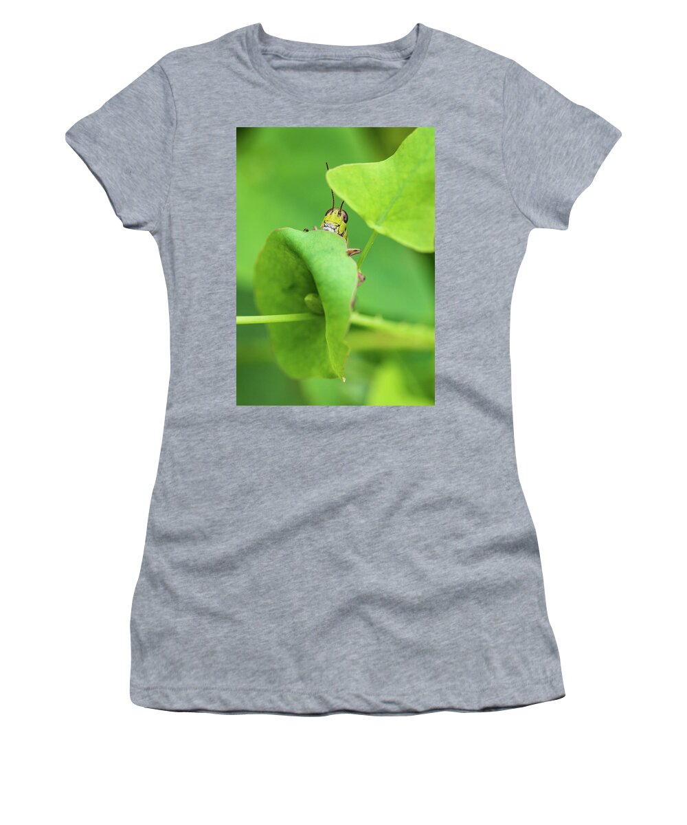 Animals Women's T-Shirt featuring the photograph Grasshopper by Amelia Pearn