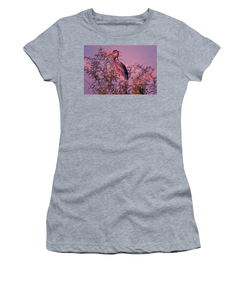 Arizona Women's T-Shirt featuring the photograph Great Blue Heron - Artistic 6 by Judy Kennedy