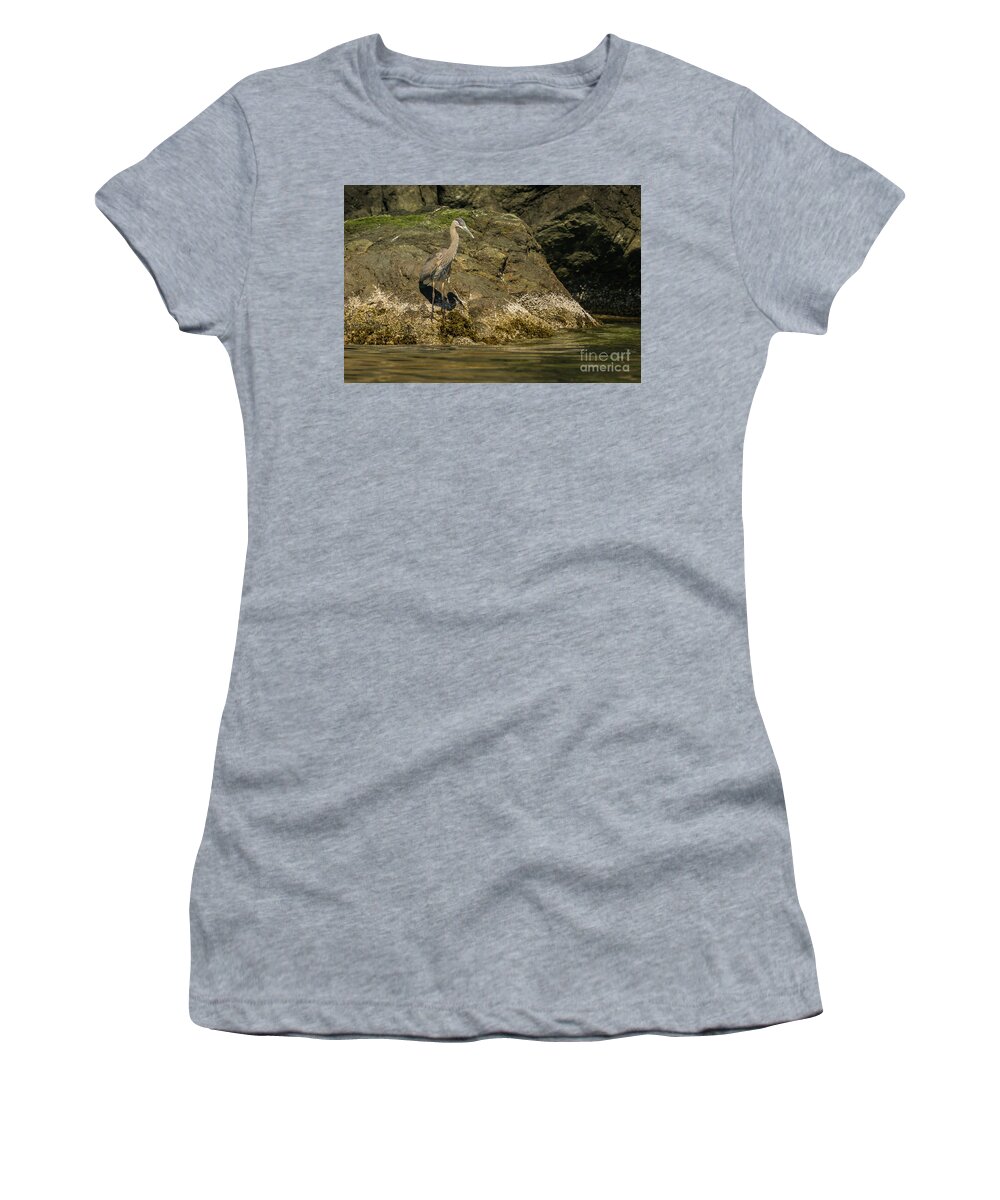 Ardea Herodias Women's T-Shirt featuring the photograph Great Blue Heron on Lopez Island Shore by Nancy Gleason