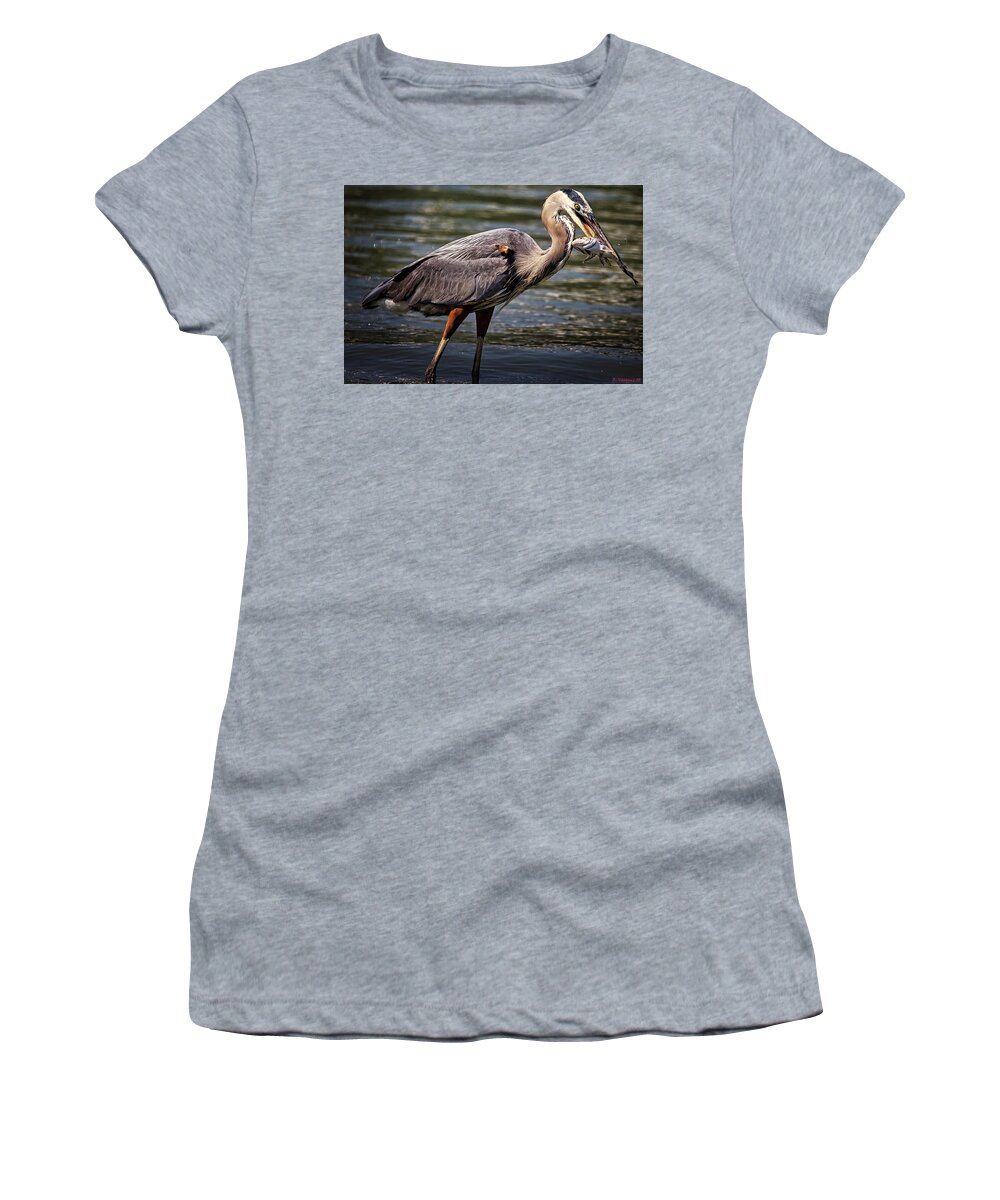 Bird Women's T-Shirt featuring the photograph Great Blue Heron by Rene Vasquez