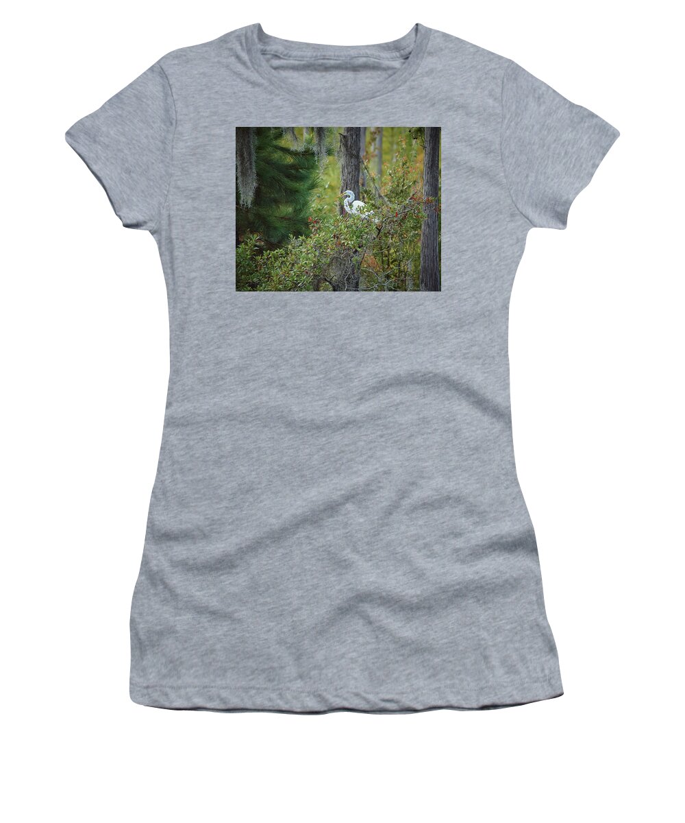 Georgia Women's T-Shirt featuring the photograph Great Egret Among the Cypress by John Simmons