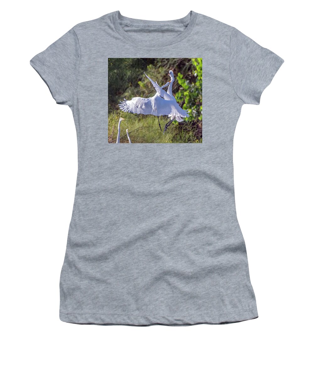 Great Egret Women's T-Shirt featuring the photograph Great Egrets 8224-060121-3 by Tam Ryan