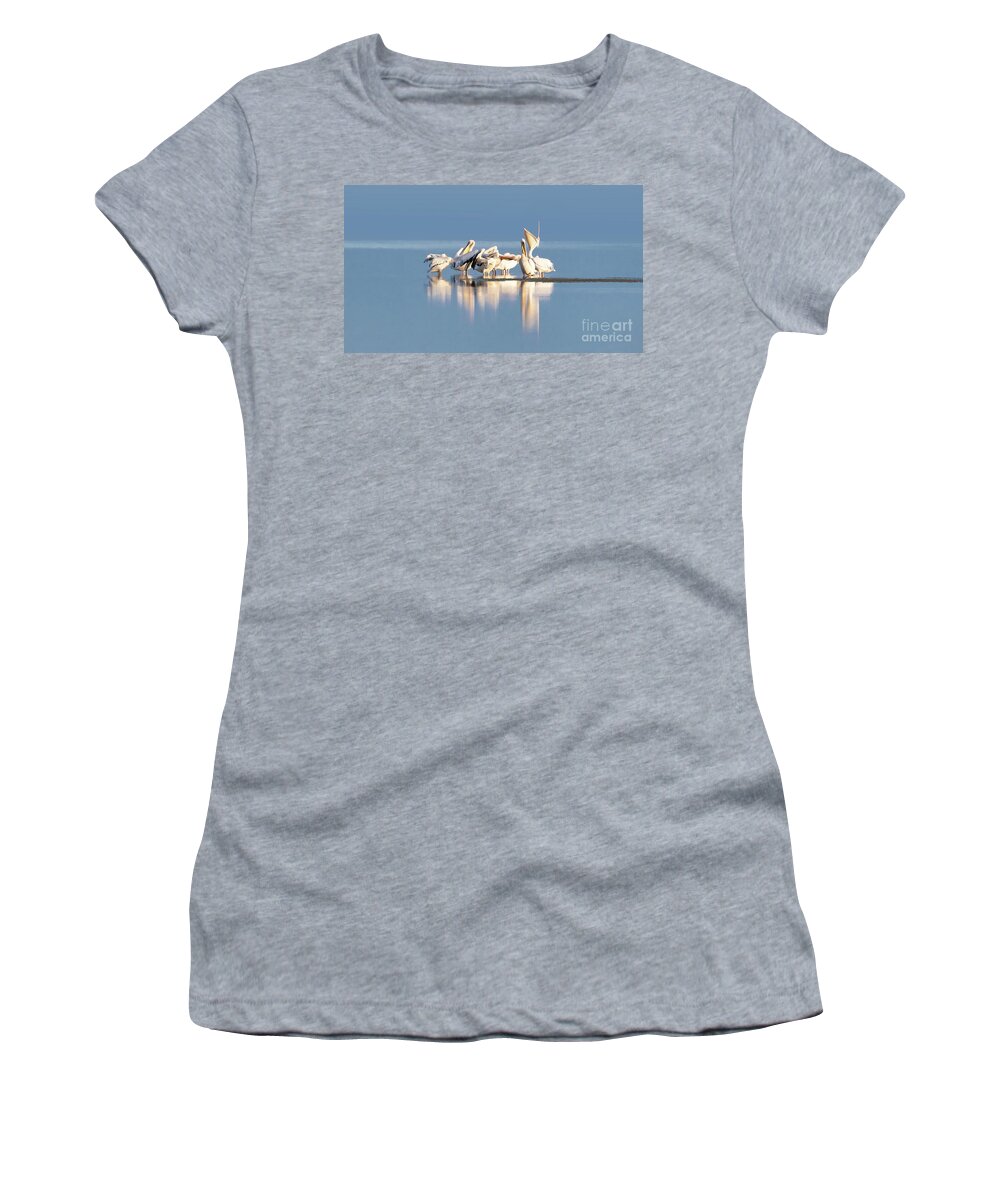 White Women's T-Shirt featuring the photograph Great white pelican group on the blue waters of a lake in Ambose by Jane Rix