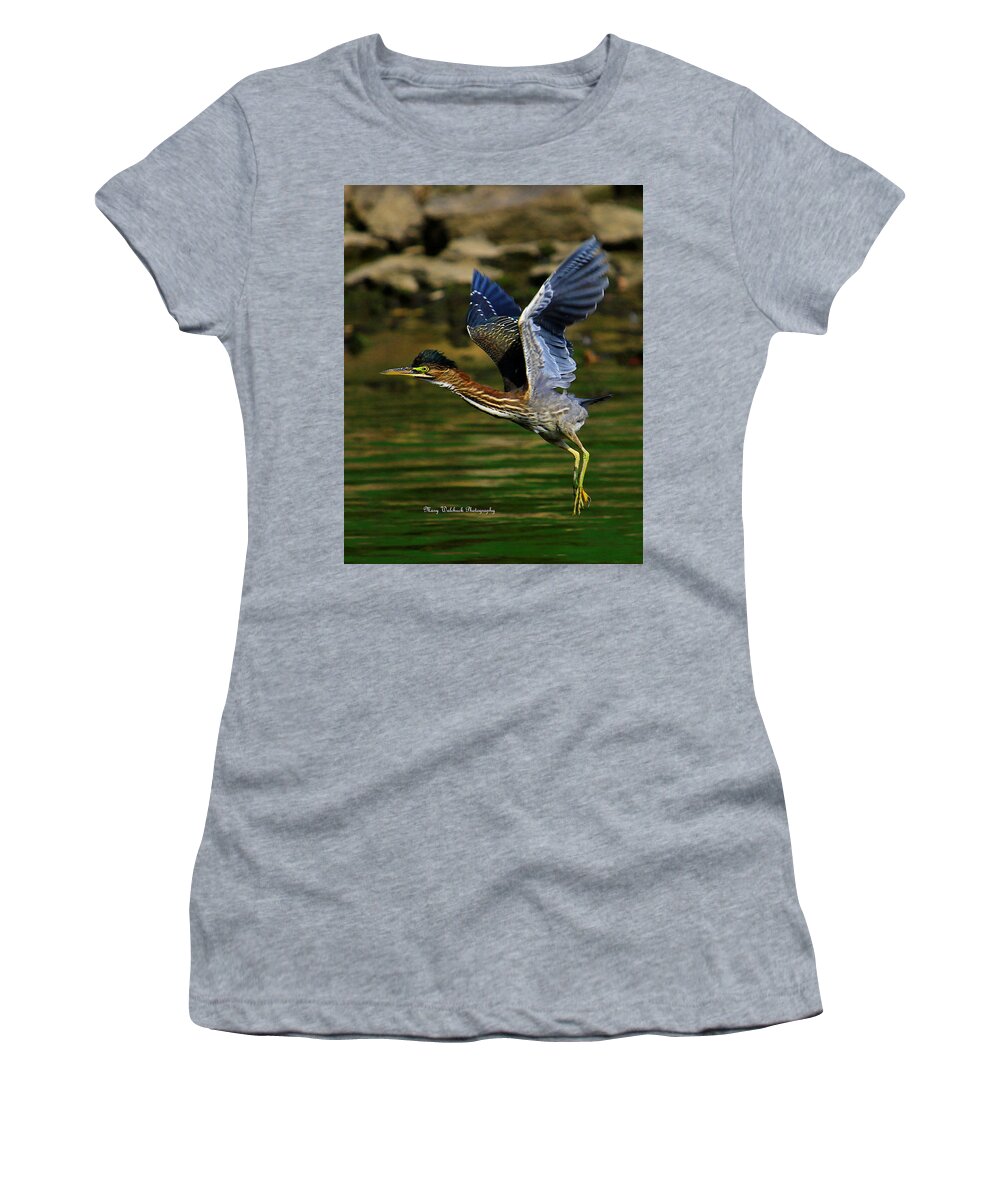 Bird Women's T-Shirt featuring the photograph Green Heron in Flight by Mary Walchuck