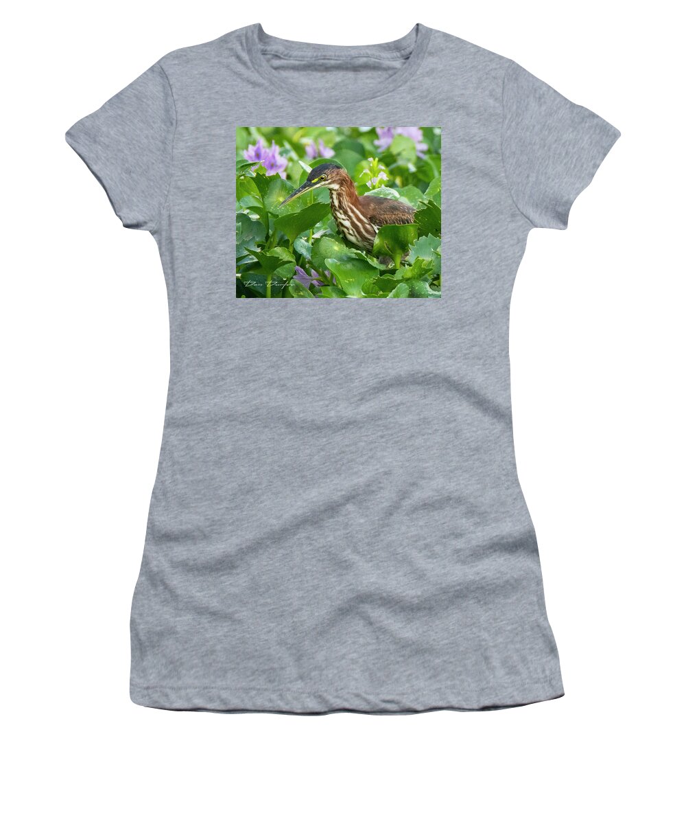Green Heron Women's T-Shirt featuring the photograph Green Heron In The Swaamp by Don Durfee