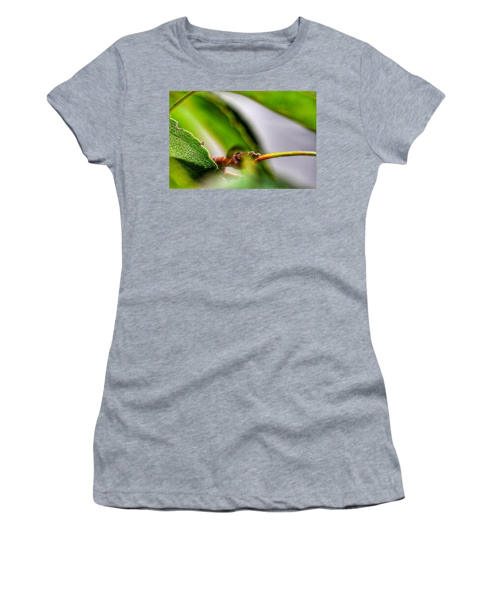 Photo Women's T-Shirt featuring the photograph Green Leaf Closeup by Evan Foster